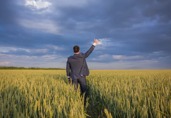 Happy farmer, businessman, standing in wheat field with his hands and thumbs up — Stock Photo, Image