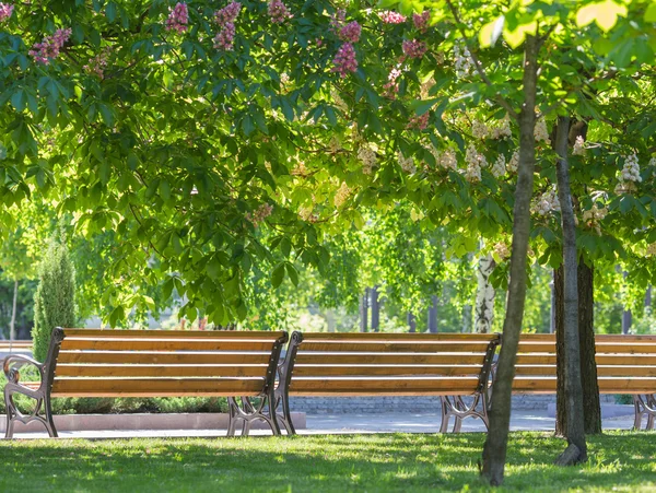 Bank im Park — Stockfoto