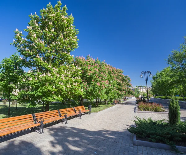 Bank im Park — Stockfoto