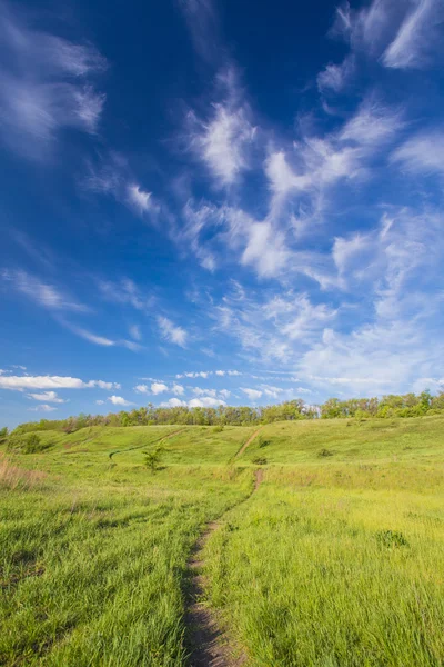 Fält på en bakgrund av himlen — Stockfoto