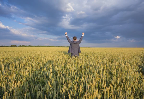 Szczęśliwy biznesmen stojąc na polu — Zdjęcie stockowe
