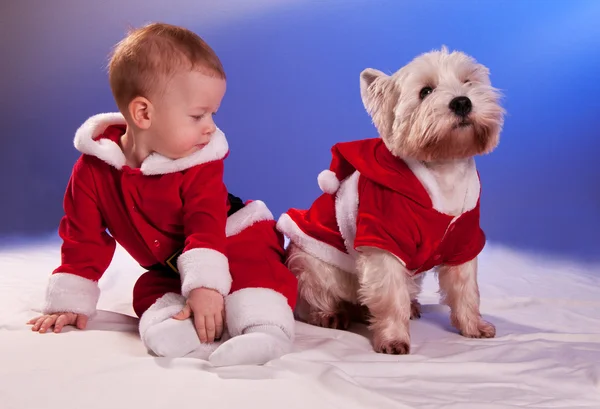 Grappige kleine baby in Santa Claus en hond in Santa Claus kostuum — Stockfoto