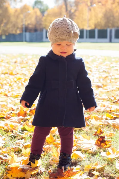 Adorable little girl with autumn leaves in the beauty park — Stock Photo, Image