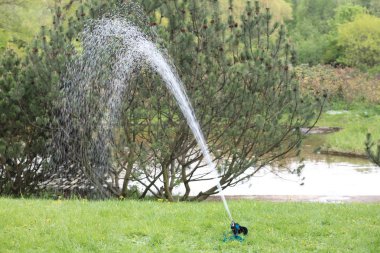 Japonya Bahçe yağmurlama