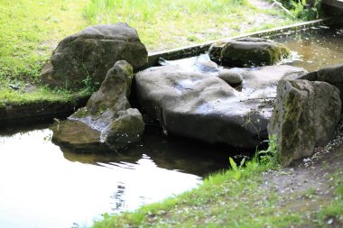 Japonya 'nın gündüz bahçesi