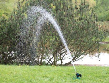 Japonya Bahçe yağmurlama