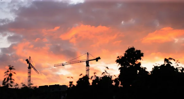 Crane Tower on Sunset Sky Background — Stock Photo, Image