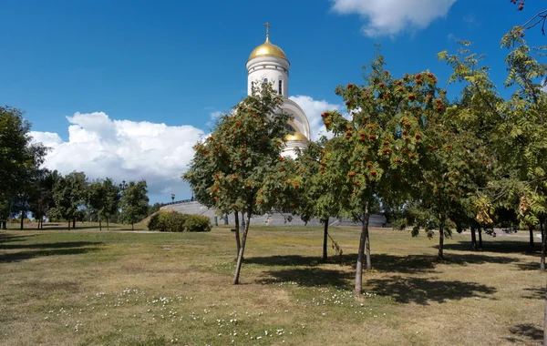 Kerk en Ashberry op dag — Stockfoto