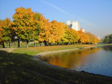 Şehir parkında sonbahar