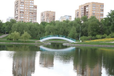 Şehir parkında bahar
