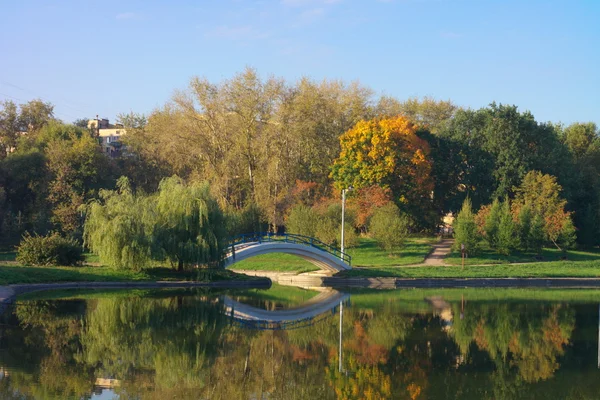 Parco in oro caduta — Foto Stock