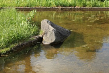 Japonya 'nın gündüz bahçesi