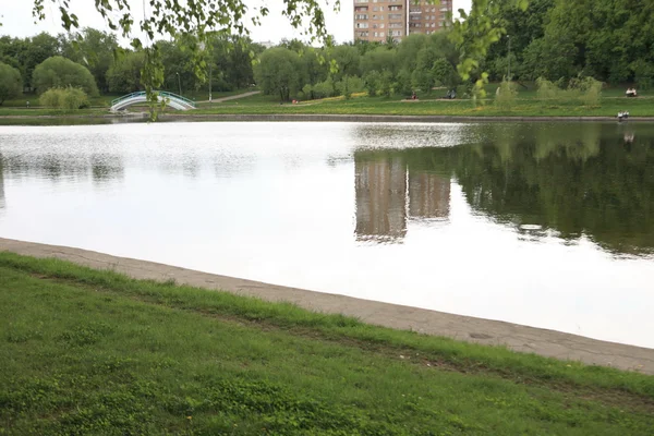 Sommaren park på dagen — Stockfoto