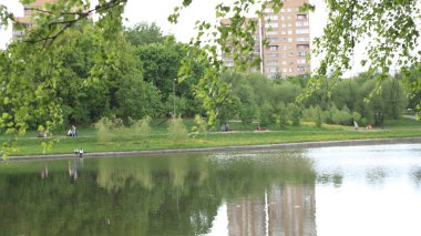 Yazlık park, güneşli yaz gününde.