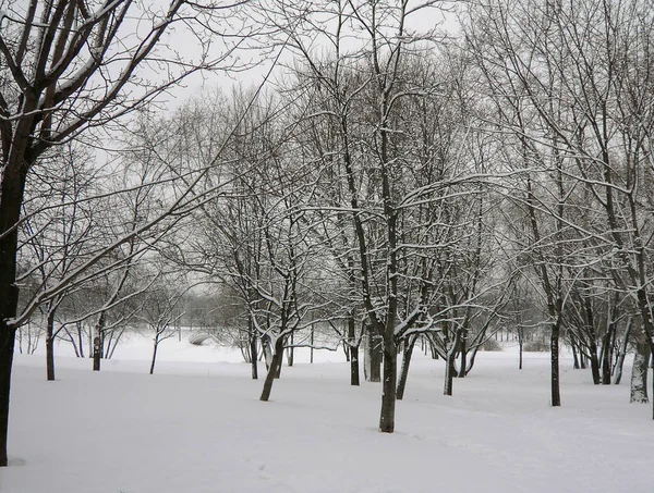 Snowfall City Park — Stock Photo, Image