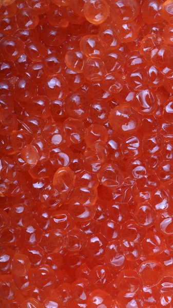 Red Caviar Day — Stock Photo, Image