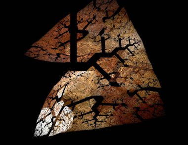 Siyah Renk Üzerine Bir Dijital Fraktal Resmi