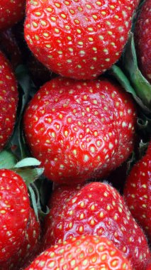 Çilekli kuru güneşli yaz günü