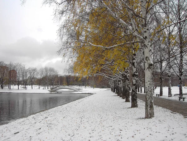 Wczesne Topnienie Śniegu Listopad Park Miejski — Zdjęcie stockowe