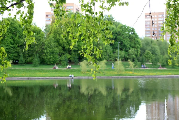 Yazlık park, güneşli yaz gününde.