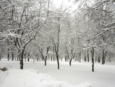 Şehir parkında kar yağdıktan sonra