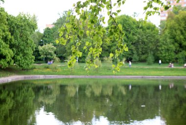 Yazlık park, güneşli yaz gününde.