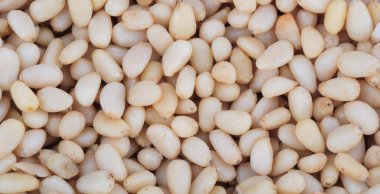 Bir sürü sedir fıstığı.