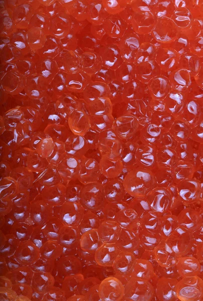 Roter Kaviar Tag — Stockfoto