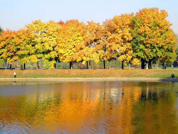 Automne Dans Parc Ville Octobre — Photo