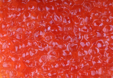 Gündüz kırmızı havyar