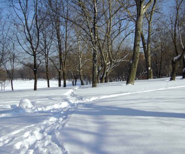 Şubat 'ta güneşli bir günde kar yağar