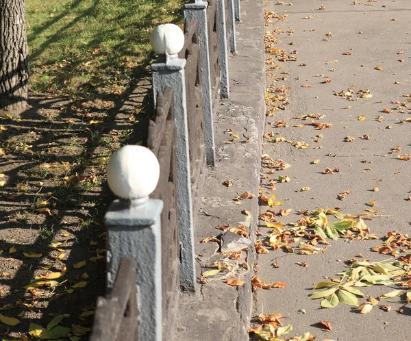 秋の公園晴れた日 — ストック写真