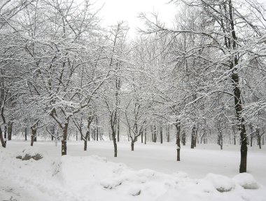 Şehir parkında kar yağdıktan sonra