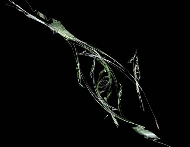 Siyah Renk Üzerine Bir Dijital Fraktal Resmi