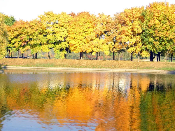 Осень Городском Парке Октябре — стоковое фото