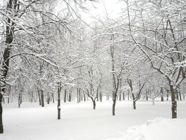 Şehir parkında kar yağdıktan sonra