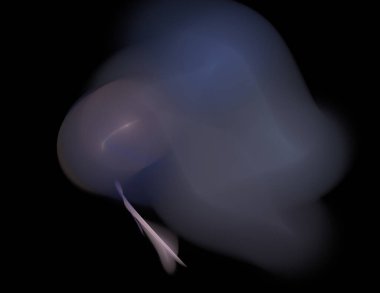 Siyah Renk Üzerine Bir Dijital Fraktal Resmi