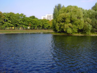 Ağustos 'ta şehir parkında yaz.