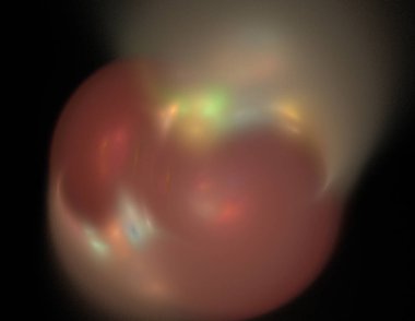 Siyah Renk Üzerine Bir Dijital Fraktal Resmi