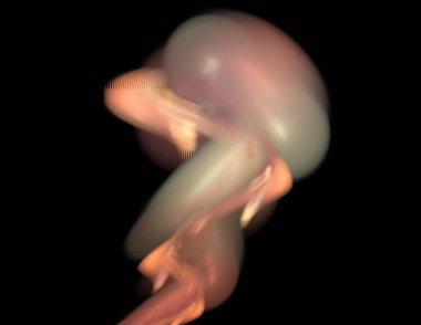 Siyah Renk Üzerine Bir Dijital Fraktal Resmi