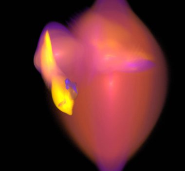 Dijital fraktal resimlerinden birinin resmi