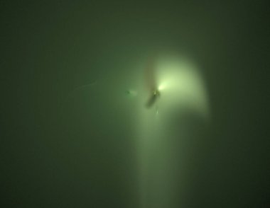 Siyah Renk Üzerine Bir Dijital Fraktal Resmi