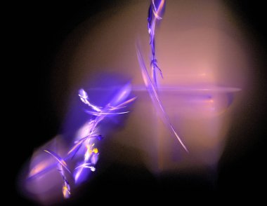 Siyah Renk Üzerine Bir Dijital Fraktal Resmi