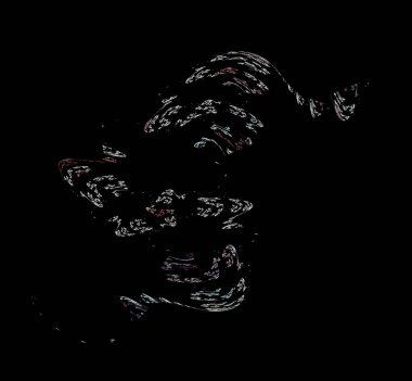 Dijital fraktal resimlerinden birinin resmi