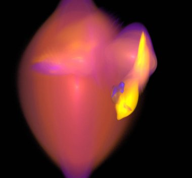 Dijital fraktal resimlerinden birinin resmi