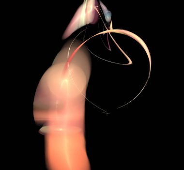 Dijital fraktal resimlerinden birinin resmi