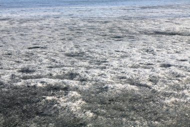 Geçen bahar göletteki buz