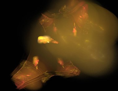 Siyah Renk Üzerine Bir Dijital Fraktal Resmi