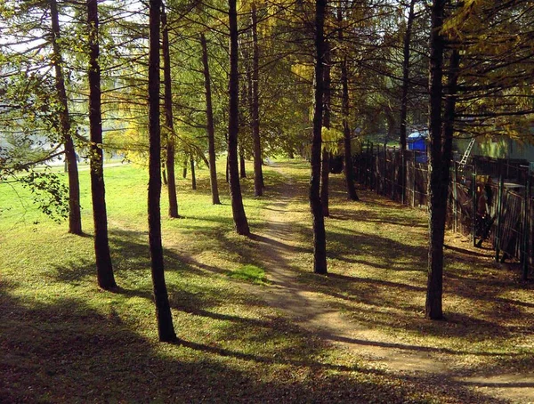 Ścieżka Parku Miejskim Jesienią — Zdjęcie stockowe