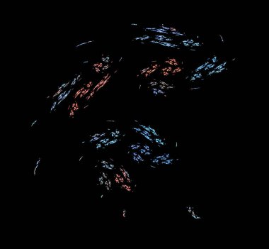 Dijital fraktal resimlerinden birinin resmi